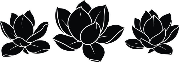 Black magnolia lotus flower silhouette icon set isolated on white background vector illustration for floral beauty spa design concept © MdDulal
