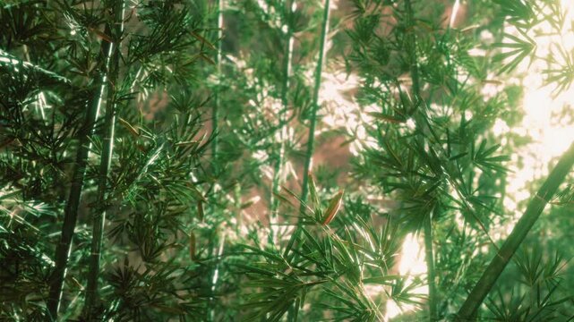 Bamboo leaves grow densely in a lush green forest as sunlight filters through. The scene shows a network of stems and leaves, creating a natural environment.