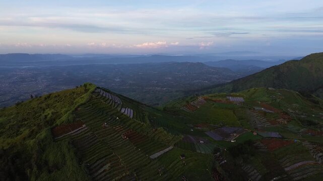 Aerial Drone View of Lush Green Rice Terraces on Hillsides in Indonesia