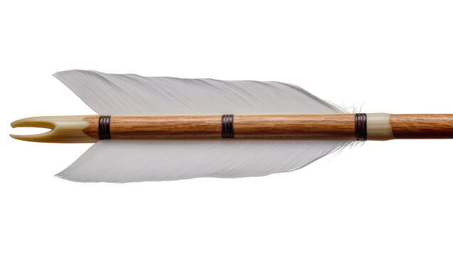 Wooden arrow with white fletching and nock
