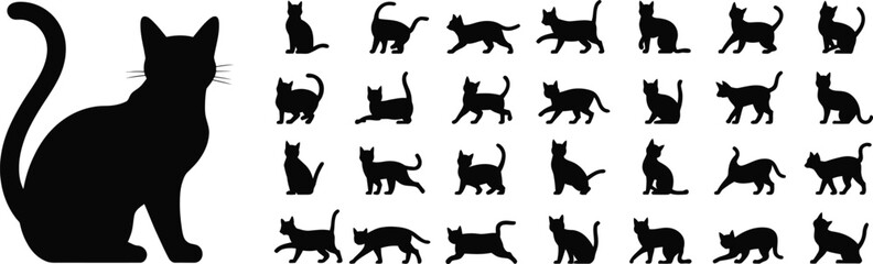 Extensive Collection of Black Cat Silhouettes in Various Poses and Actions on White Background feline © MdRayhan