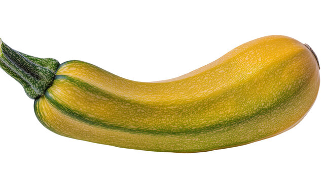Yellow striped zucchini with green stem