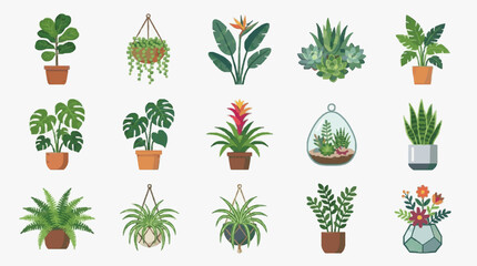 Creative Collection of 15 Vibrant Indoor Plants in Colorful Pots and Hanging Planters for Home Decor © Dodi