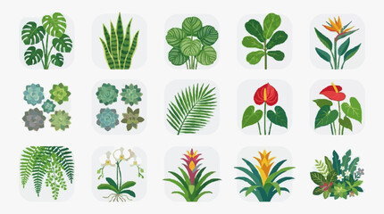 Creative Collection of 15 Vibrant Tropical Houseplants and Flowers in Colorful Illustrations with high quality professional line art symbols for modern creative design and digital branding projects © Dodi