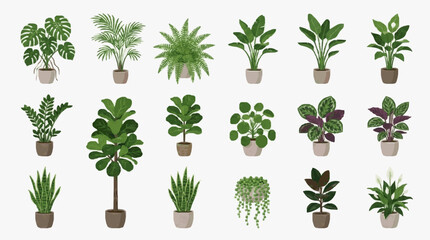 Creative Collection of 20 Vibrant Indoor Houseplants in Terracotta Pots Lush Green Leafy Varieties for Home Decor © Dodi
