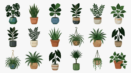 Creative Collection of 15 Stylish Potted Plants in Diverse Colors and Designs for Home Decor Inspiration © Dodi