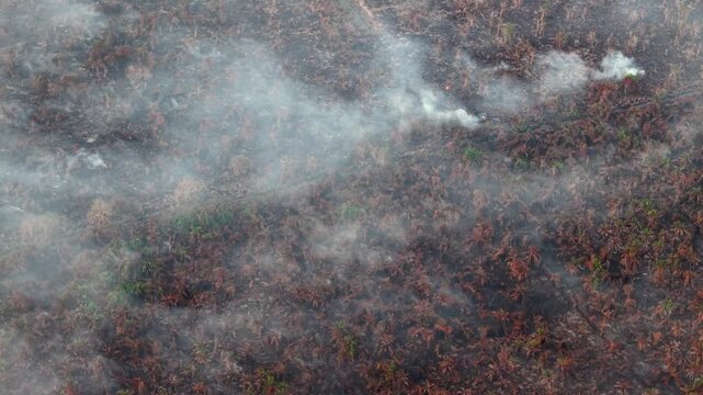 Scenic aerial shot of peat fire in a tropical landscape