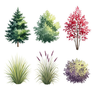 Six highly detailed watercolor botanical symbols of diverse trees and shrubs (green, red, yellow-green foliage) arranged on a transparent background in a strict top-down plan view. concept for