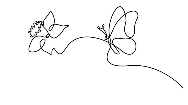 Animated self drawing of Continuous single line drawing of a beautiful daffodil flower and a flying butterfly. Full length one line animation. 4K video