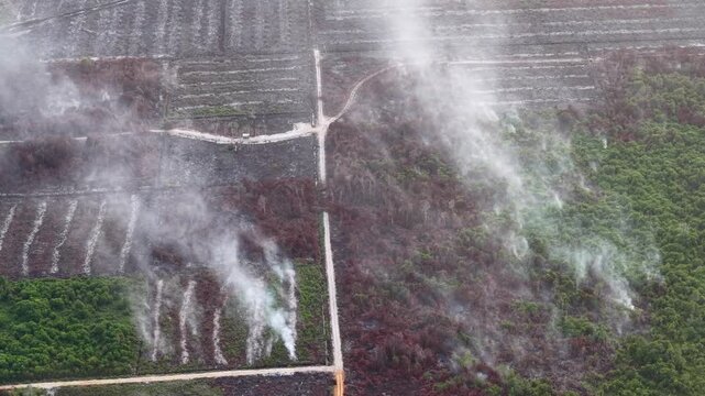 Smoke rises from burning farmland