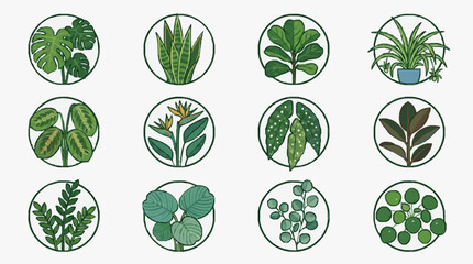 Creative Set of Twelve Vibrant Indoor Houseplants Illustrated in Green and White Circular Frames © Deni