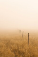 Obraz premium Serene zen atmosphere over a misty meadow with linear perspective post fencing