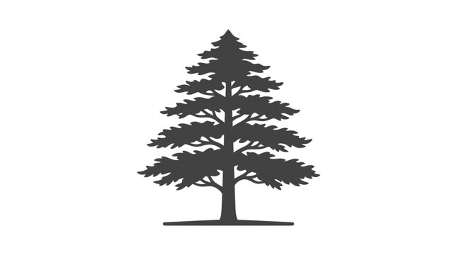 Silhouette of a single pine tree.