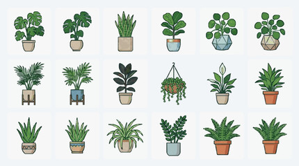 Dynamic Collection of 18 Colorful Potted Houseplants in Stylish Planters for Home Decor and Interior Design © Deni