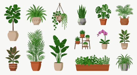Dynamic Collection of 20 Vibrant Houseplants in Stylish Pots for Modern Home Decor and Indoor Gardening © Deni
