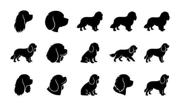 Cavalier King Charles Spaniel Dog Silhouettes, Vector Icons Set, Pet Breed Graphics