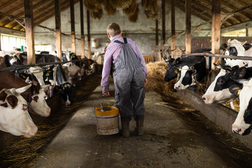 Young farmer wearing overalls walking along feed bunk, bringing food to cattle in a rustic indoor barn © Dejan
