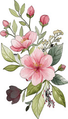 Fototapeta premium Watercolor floral arrangement with pink blossoms and green foliage isolated on a white background vector illustration