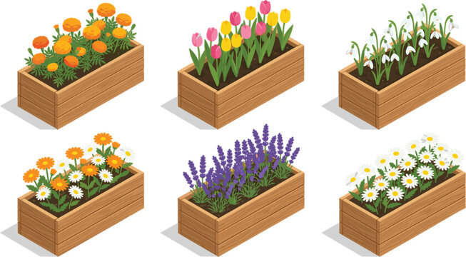 Isometric wooden planter boxes with blooming flowers set tulip lavender daisy marigold snowdrop garden vector illustration isolated on white background