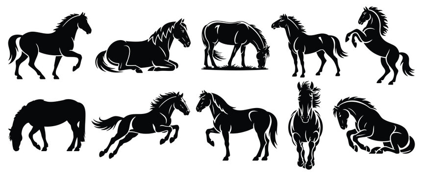 Wild Mustang Horse Silhouettes Vector Set