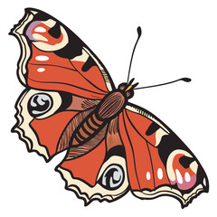 Butterfly illustration with intricate patterns and vivid colors eye catching butterfly © Adori