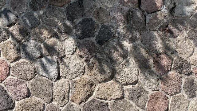 Old stone wall made of natural river rocks and grey cement mortar. Rustic masonry texture with sunlight and shadows. dark, black. sunrise, sunshine. reflection, reflection. leaves, leaf, plant, tree. 