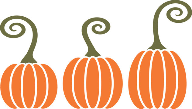 Minimalist Autumn Pumpkin Vector Set with Long Curly Stems for Halloween, Thanksgiving, Fall Harvest Decorations, and Festive Seasonal Graphic Designs