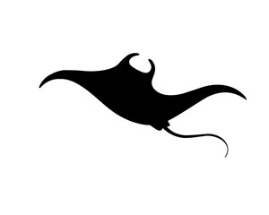 Dynamic ray fish silhouette vector illustration  © Pens'K