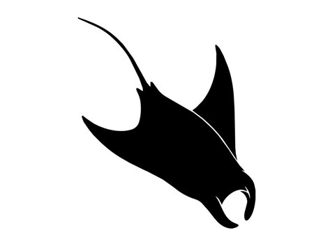 Dynamic manta ray silhouette vector
