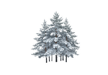 Fototapeta premium Stylized cluster of scots pine and norway spruce trees heavily laden with pristine snow and rime ice, high-key studio photo emphasizing negative space, concept of isolated winter serenity