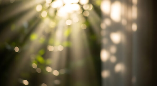 Bright morning sunlight filtering through green leaves creates beautiful soft bokeh patterns and dramatic light rays on a dark wall