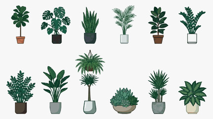 Elegant Collection of 12 Stylish Indoor Plants in Modern Pots for Home Decoration and Greenery with high quality professional line art symbols for modern creative design and digital branding projects © Box