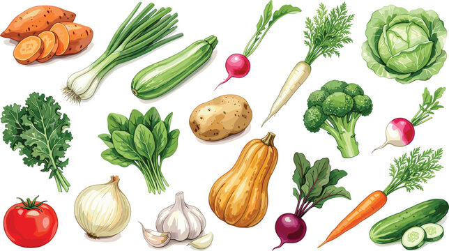 Fresh Watercolor Style Vegetables Vector Illustration Set Featuring Tomato Carrot Broccoli Squash Kale and Onion for Organic Market Menus and Healthy Recipe Layouts