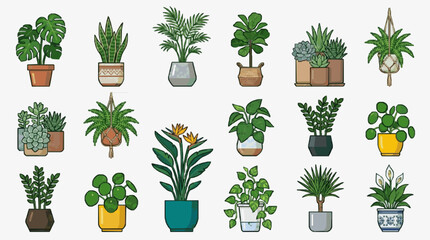 Elegant Collection of Colorful Indoor Plants in Stylish Pots for Home Decoration and Plant Lovers © Putra
