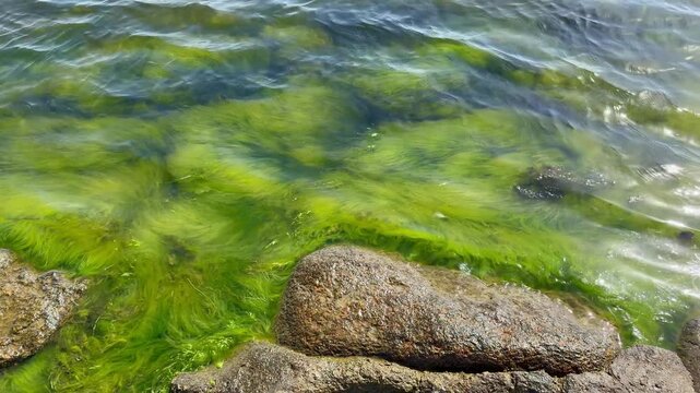 The Baltic Sea off the coast of Poland