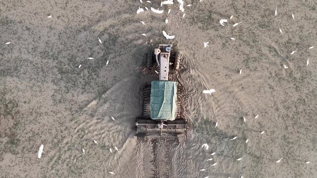 Aerial view of tractor tilling soil on farm field surrounded by birds flying