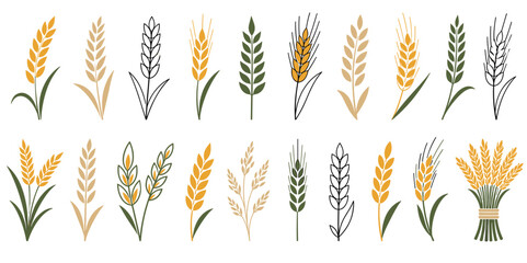 Fototapeta premium Various stylized wheat and rye ears are depicted in a collection of flat and outline vector illustrations