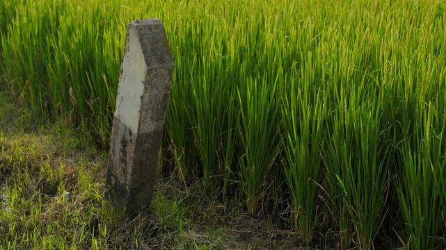 Stone post stands alone in lush green grass with natural and quiet scene in open field.