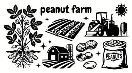 peanut plants growing across fertile agricultural farmland with harvesting season rural countryside scenery healthy soil and sustainable crop cultivation environment © Ethan