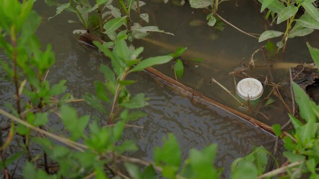 Brown water ripples gently over muddy banks with twigs and grasses cling to the water's edge.