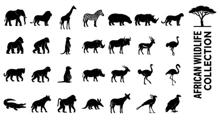 Fototapeta premium Vector collection of African wildlife animal silhouette icons including safari species like elephant lion giraffe and gorilla on white background
