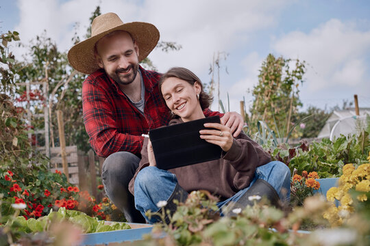 Couple using digital tablet in allotment vegetable garden in London