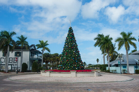 USA, Florida, Key West, Christmas tree