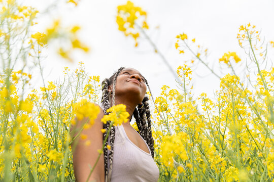 Person with braids enjoying peace in a yellow rapeseed field