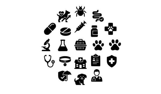 Veterinary Pet Parasite Solid Icons Black and White Dog Health Vector Collection
