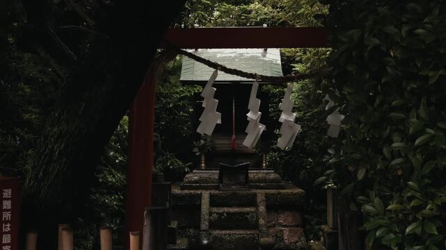 Cinematic view of a small Japanese Shinto shrine framed by a red torii gate, sacred shimenawa rope, paper shide, stone steps, and lush forest greenery.
