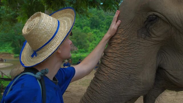 man tourist gently touching elephant in ethical wildlife sanctuary with compassion and respect, Human wildlife connection through compassionate ecotourism, elephant conservation and nature travel 4k