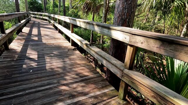 Squirrels on a boardwalk jump onto branches