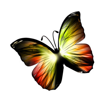 Vibrant fiery orange and gold neon 3D butterfly isolated on transparent background