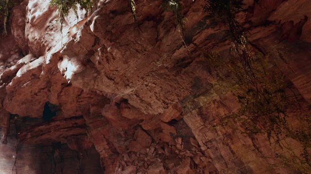 A person stands inside a large cave looking up at the rock formations above. Sunlight shines through the entrance, illuminating the stone and surrounding plants.